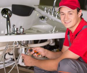 About Plumbers Pros Roseboom, NY